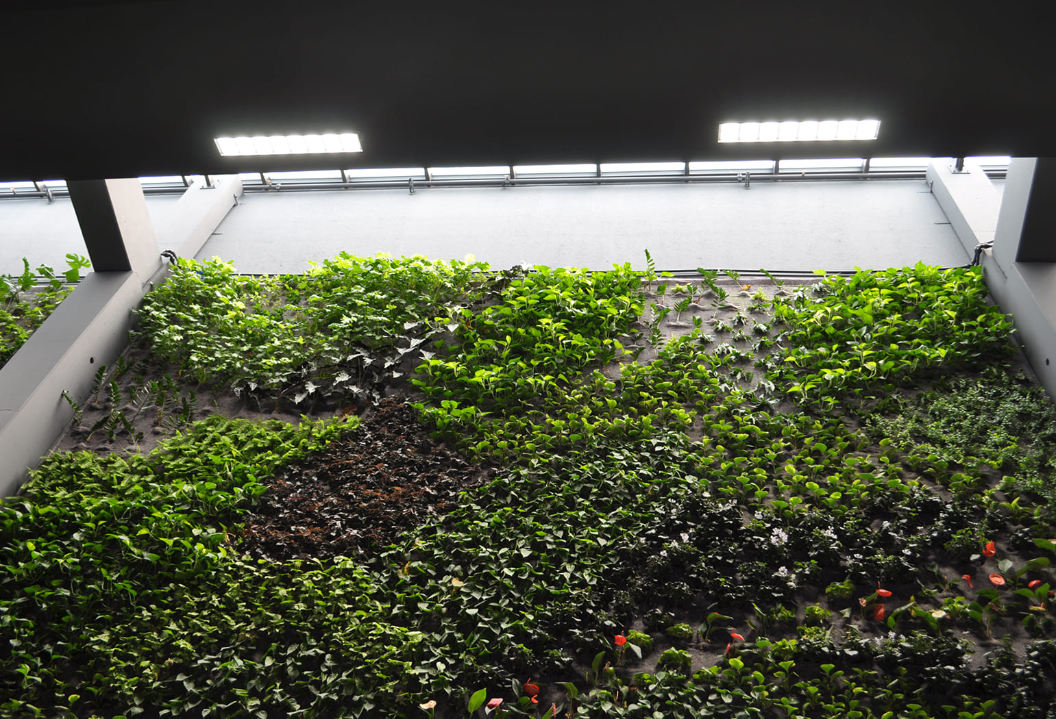 Balamo Restaurant Balamo Restaurant