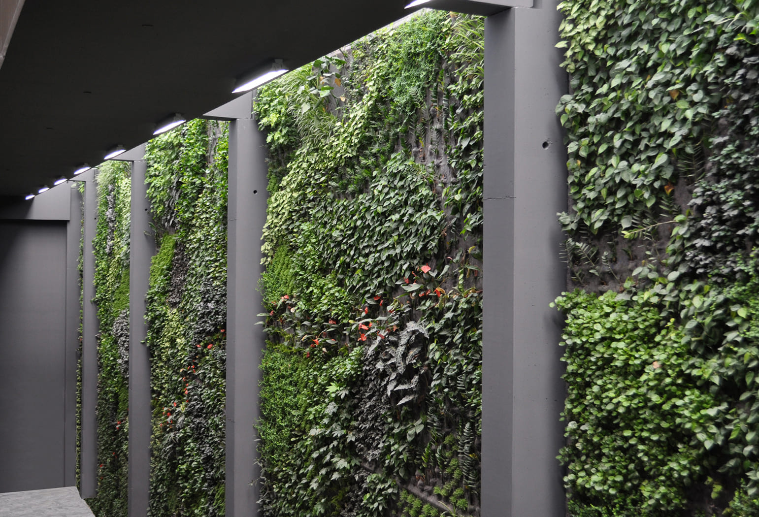 Balamo Restaurant Balamo Restaurant