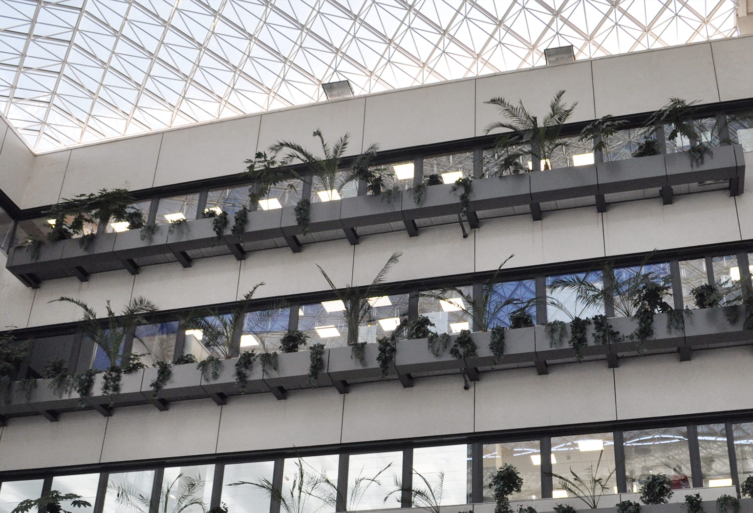 Oficinas centrales Sacyr Fluor