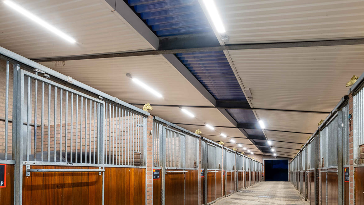 Stal de Sjiem riding school