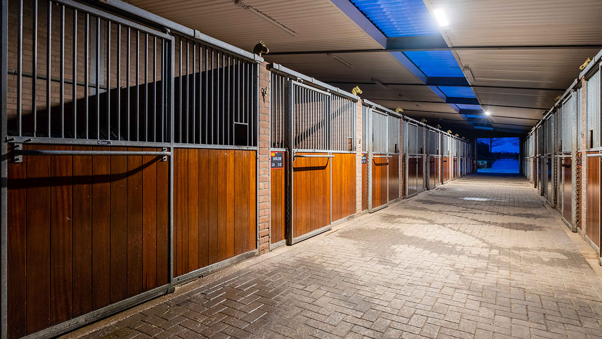 Stal de Sjiem riding school